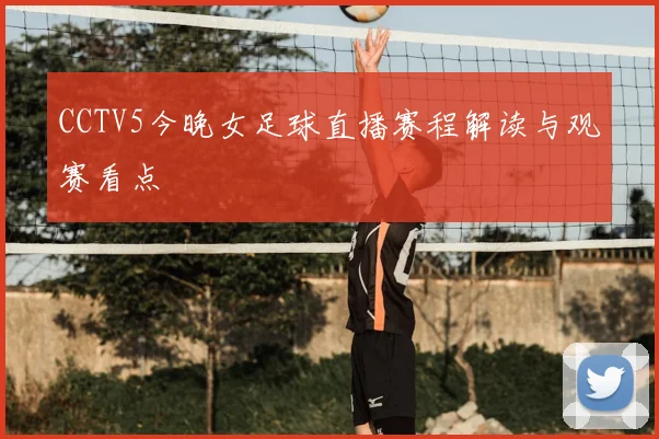 CCTV5今晚女足球直播赛程解读与观赛看点
